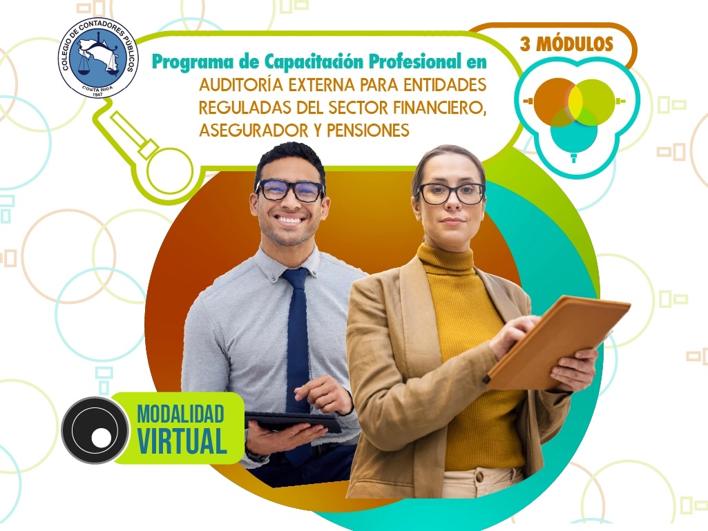 Programa En Auditoría Externa Para Entidades Reguladas Del Sector Financiero - Módulo I ( Auditoria Externa Para Entidades Financieras)